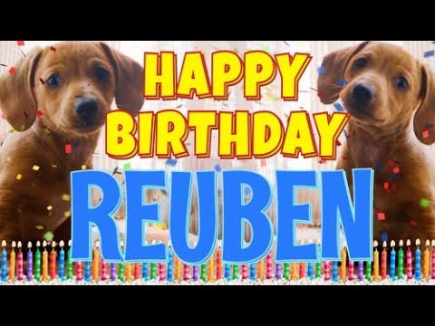 Happy Birthday Reuben! ( Funny Talking Dogs ) What Is Free On My Birthday