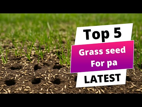 ✅ Best grass seed for pa: Grass seed for pa (Buying Guide)