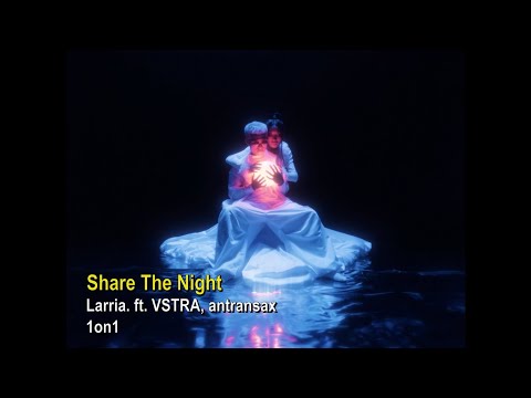 Larria. -  Share The Night feat. VSTRA & antransax (Visualizer)