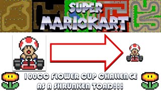 The Super Mario Kart SHRUNKEN 100CC Flower Cup Grand Prix Challenge