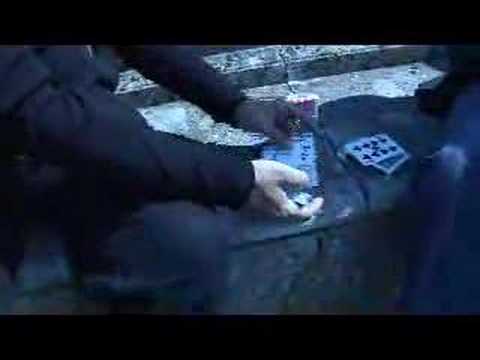 Thoughtless By Peter Nardi