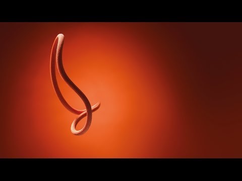 PETZL Mambo Rope 10.1 mm