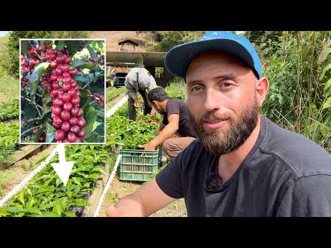 वीडियो थंबनेल