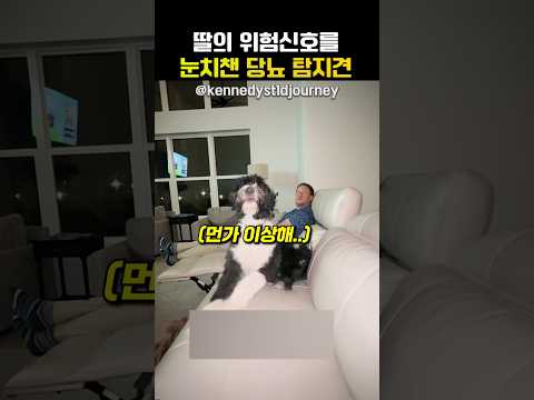 도우미견 덕분에 빠르게 눈치챌 수 있었던 부부