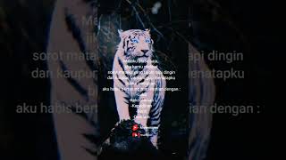 Download lagu story wa macan putih terbaru 2022😎 l 1 vs 5 #shorts #status #attitudestatus #story mp3