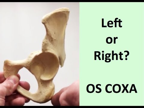 Left or Right? siding an OS COXA