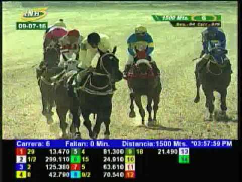 Resumen Sábado, 09 de Julio de 2016 - La Rinconada