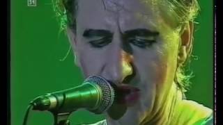 Georg Ringsgwandl live - Schöne Frau