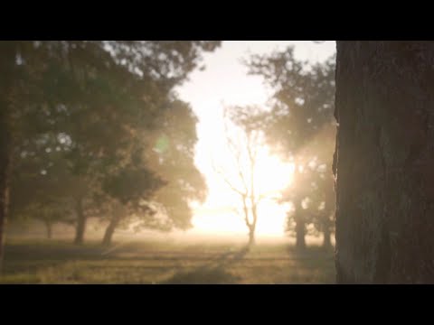 God Has No Dark Side - Heath Bradley