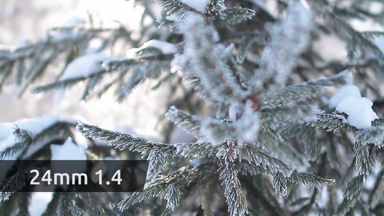 Объектив Samyang 24mm f/1.4 для 4/3