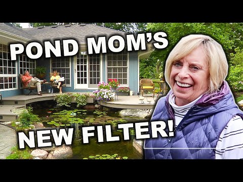 World's Best *POND* Filter - Wetland Filter for the Pond Mom