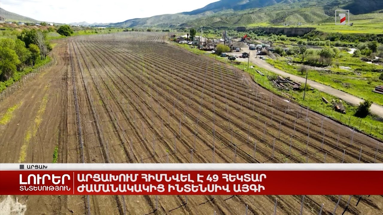 Արցախում հիմնվել է 49 հեկտար ժամանակակից ինտենսիվ այգի
