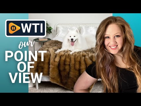 Teton Pet Co. Waterproof Pet Blankets - WTI product video review