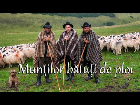 Andrei Calotă - Munților bătuți de ploi