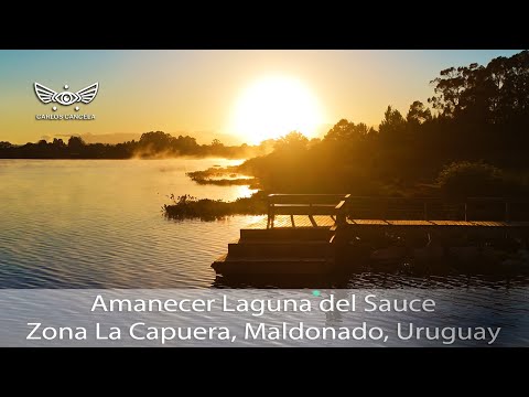 Laguna del Sauce, La Capuera, Maldonado, Uruguay.(Nov 2025)