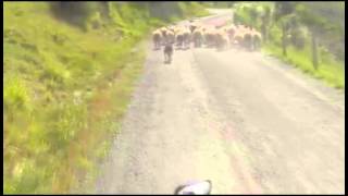 preview picture of video 'Farm Road Kaipara Flats Road Back to  the Ranch'