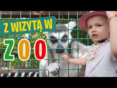 Wycieczka do ZOO w Wojciechowie - Tu są fajowe zwierzaki!