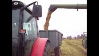 preview picture of video 'scarico riso landriano mietitrebbia john deere'