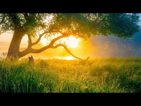 Beautiful Relaxing Hymns, Peaceful Instrumental Music, "Monday Morning Sunrise" By Tim Janis