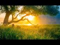 Beautiful Relaxing Hymns, Peaceful Instrumental Music, "Monday Morning Sunrise" By Tim Janis