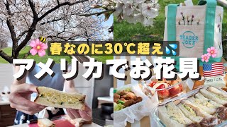 【桜満開】お花見ピクニック→ナッシュビルファーマーズマーケット🌸春の休日Vlog