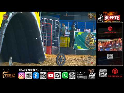 🎙️TEB TV NO  35ª Festa do Peão de Bofete! | 1ª Noite | Raça Negra