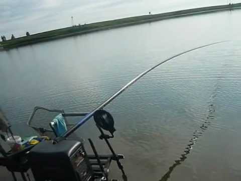 Mozacu ii ia varga la betiv