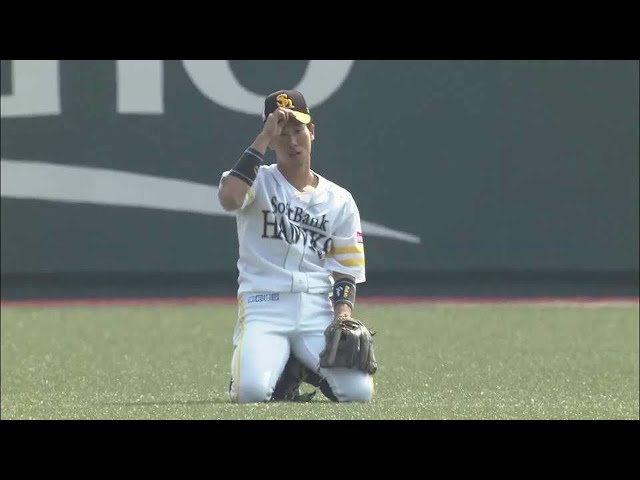ソフトバンクホークス高田知季選手試合実用バット ソフトバンクホークス高田知季選手試合実用バット