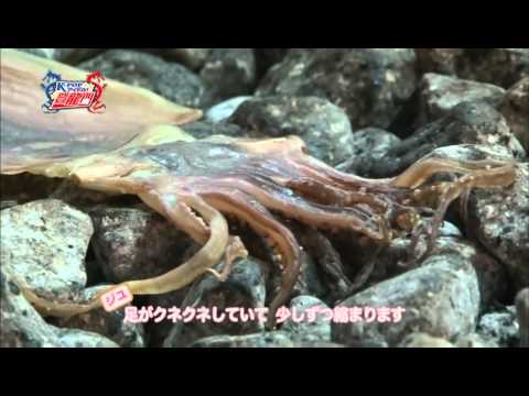 CHI CHI 치치 Ep.1_1