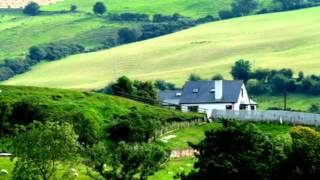 FORTY SHADES OF GREEN - COVER   1959 Johnny Cash