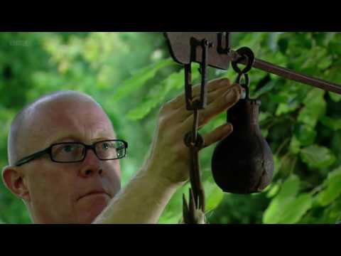 BBC Botany A Blooming History 2of3 Photosynthesis 720p HDTV x264 AAC MVGroup org