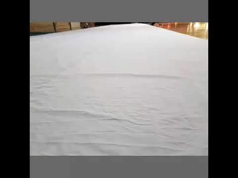 Tifosigiallverde met making off Fortuna vs PSV +sfeerbeelden