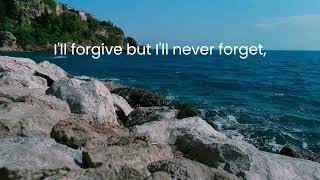 💕I'll Forgive But I'll Never Forget💕Don Williams #lyrics  #countrymusic @Chantertracks