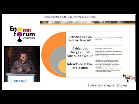 Bioprotection on winemaking. Experiences, observation and application protocols