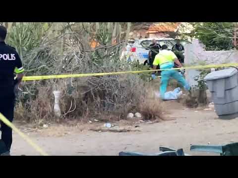 A haya homber benta abao sin bida dilanti su cas na Tanki Flip!