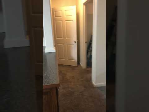Baranof Ave - 317 - Video 2 of 2