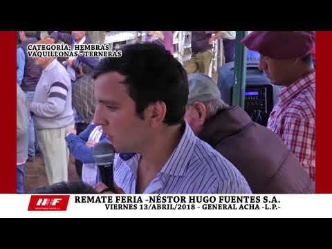 REMATE FERIA: N.H.F. S.A. - GRAL. ACHA -VIE-13-ABRIL -TERNERAS -