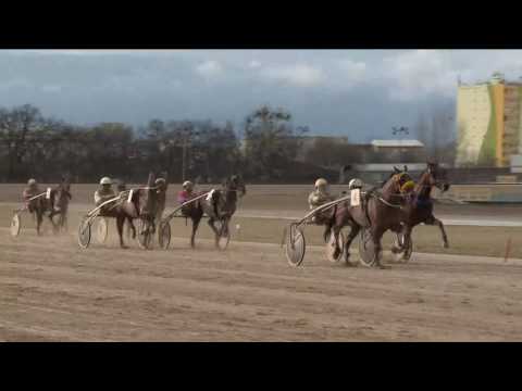 2017.03.18. 5. futam - KOPPÁNY DÍJ