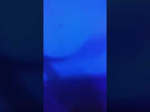 Eletro_dj.Noite de hardtechno: Infinity club, Sintra :24_01-2020