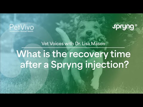 Q&A: What is the recovery time after a Spryng injection?