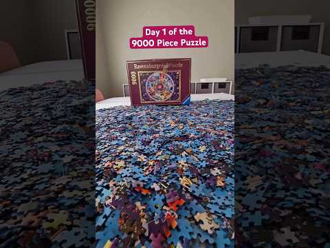 Day 1 of the 9000 Piece Puzzle 🧩