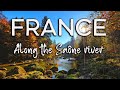 Wild France Along The River Nature Wildlife Documentary French Birds Nathalie S World