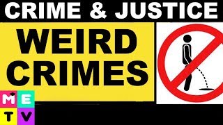 Crime & Justice | Weird Crimes...Go Postal?