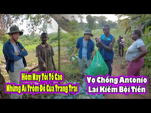 Củ Đậu và Su Hào của Trang trại liên tục đắt khách|| Phát giác người lấy đồ của trang trại ||2QVlogs