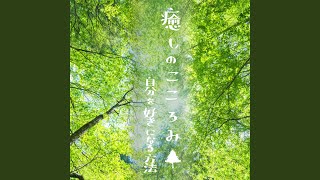 Namida