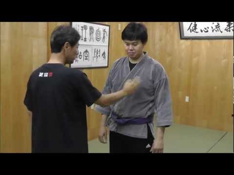 突き崩し　健心流柔術