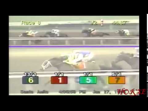1996 Santa Monica Handicap