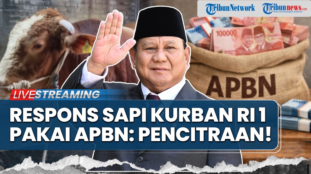 Polemik Sapi Kurban Prabowo Rp100 Miliar Pakai APBN: Pencitraan Harus Ada Pertanggungjawaban!