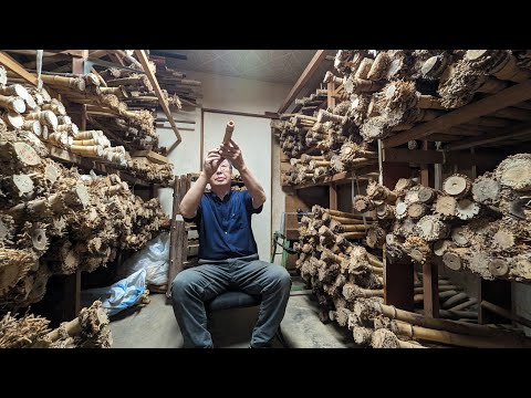 The process of making a bamboo flute from a single bamboo. A workshop with 100 years of history.