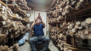 Video thumbnail for 1本の竹から笛を作るプロセス。100年以上続く歴史ある尺八工房。 by Craftsmanship Process - SUIGENKYO